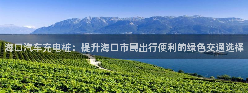 威廉国际是一个什么平台：海口汽车充电桩：提升海口市民出行便利的绿色交通选择