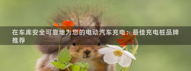 威廉国际app下载：在车库安全可靠地为您的电动汽车充电：最佳充电桩品牌
推荐