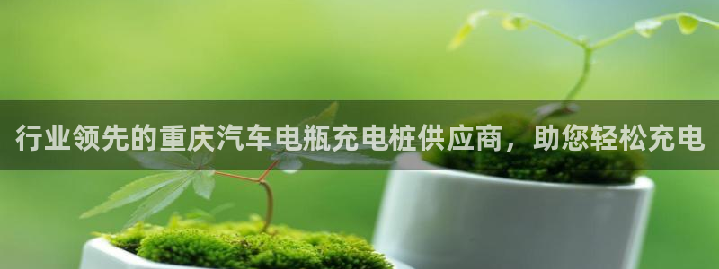 威廉希尔和inter初盘对比：行业领先的重庆汽车电瓶充电桩供应商，助您轻松充电