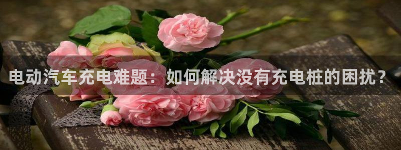 威廉希尔500欧洲指数怎么看：电动汽车充电难题：如何解决没有充电桩的困扰？