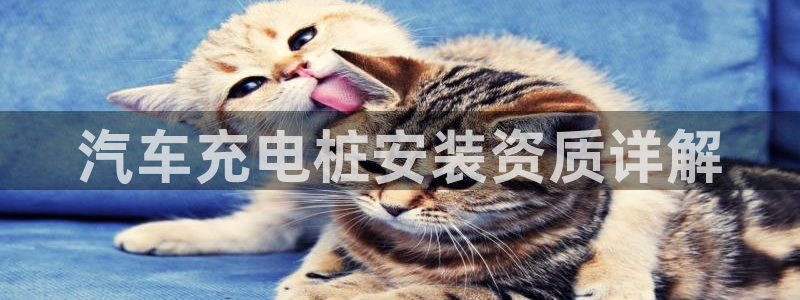 搜索威廉游戏主播直播：汽车充电桩安装资质详解