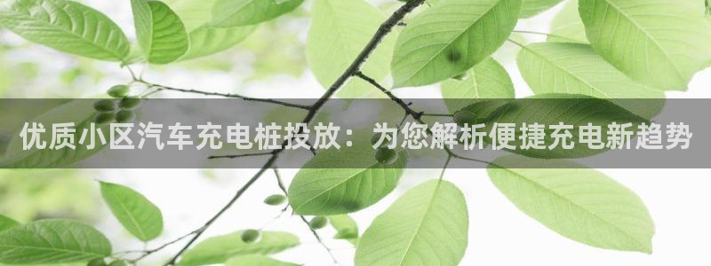威廉希尔是什么：优质小区汽车充电桩投放：为您解析便捷充电新趋势