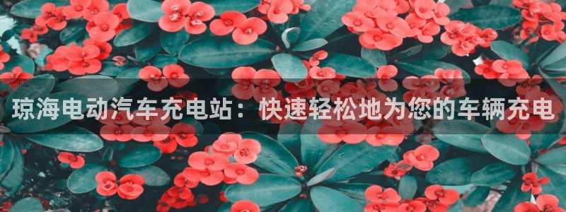 威廉希尔中国欢迎你：琼海电动汽车充电站：快速轻松地为您的车辆充电