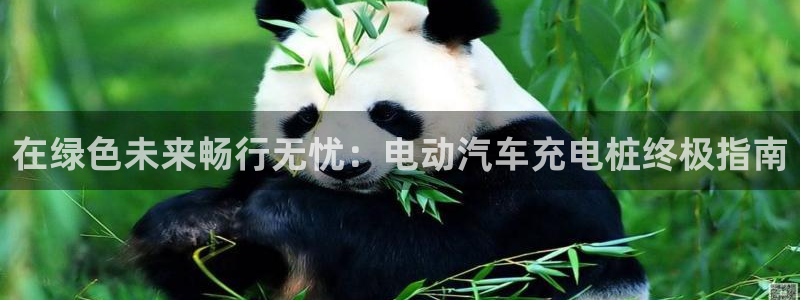 威廉希尔母公司：在绿色未来畅行无忧：电动汽车充电桩终极指南