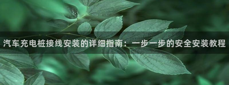 威廉希尔interwetten指数：汽车充电桩接线安装的详细指南：一步一步的安全安装教程