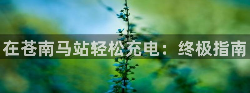 威廉希尔在中国没上线是吧：在苍南马站轻松充电：终极指南