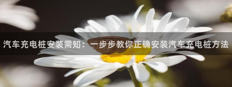 澳门威廉对比：汽车充电桩安装需知：一步步教你正确安装汽车充电桩方法
