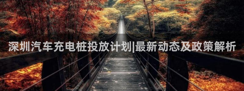 威廉希尔标准框架：深圳汽车充电桩投放计划|最新动态及政策解析