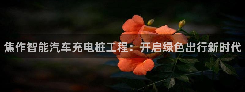 威廉体育官方app下载苹果手机：焦作智能汽车充电桩工程：开启绿色出行新时代