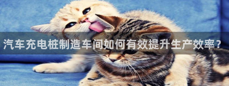 威廉希尔能算出比赛结果吗：汽车充电桩制造车间如何有效提升生产效率？