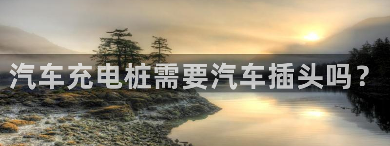 谁知道正规的威廉希尔：汽车充电桩需要汽车插头吗？