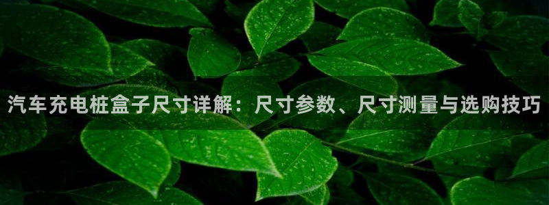 威廉希尔 1.95 3.20 3.50
