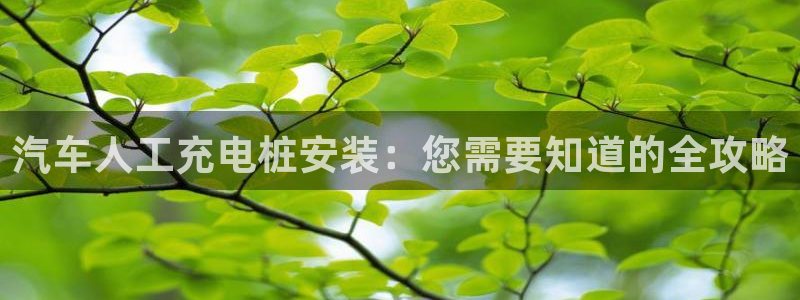 威廉游戏直播：汽车人工充电桩安装：您需要知道的全攻略