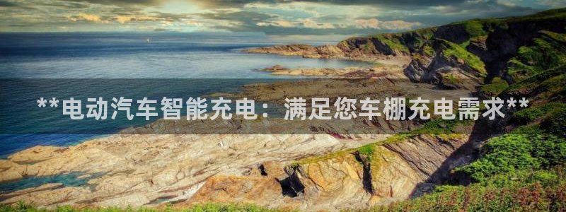 欧冠威廉希尔初赔研究：**电动汽车智能充电：满足您车棚充电需求**