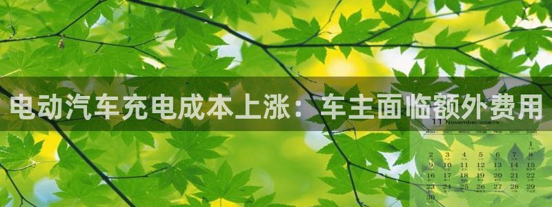 澳门威廉对比：电动汽车充电成本上涨：车主