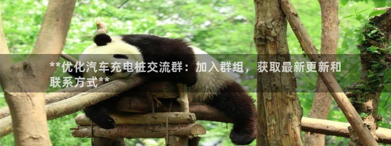 威廉国际骗局：**优化汽车充电桩交流群：加入群组，获取最新更新和
联系方式**