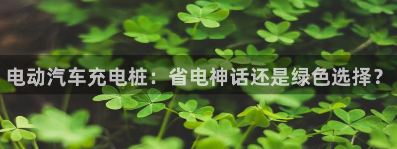 威廉希尔体育在线平台：电动汽车充电桩：省电神话还是绿色选择？