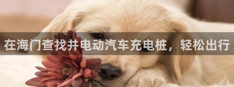 威廉希尔 1.95 3.40 3.30：
