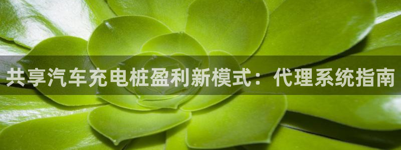 威廉希尔立博对比必学会：共享汽车充电桩盈