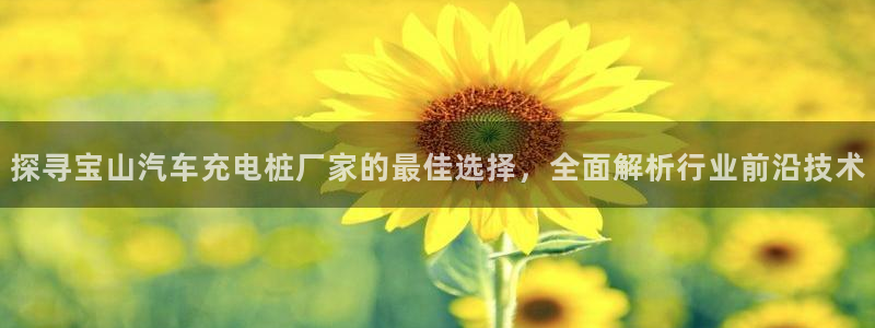 威廉希尔 1.70 4.20 4.20：探寻宝山汽车充电桩厂家的最佳选择，全面解析行业前沿技术