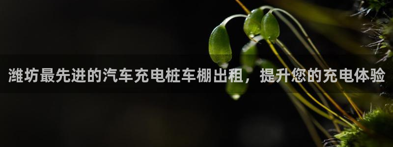 威廉国际ktv：潍坊最先进的汽车充电桩车棚出租，提升您的充电体验