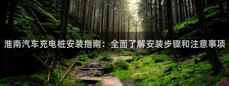 威廉国际校服：淮南汽车充电桩安装指南：全面了解安装步骤和注意事项