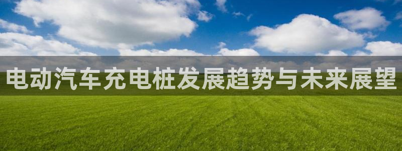 威廉希尔在中国没上线是吧：电动汽车充电桩发展趋势与未来展望