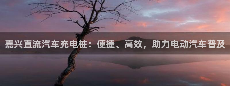 威廉希尔有app吗：嘉兴直流汽车充电桩：