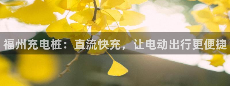 威廉希尔95体系：福州充电桩：直流快充，