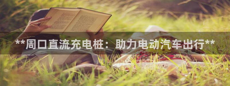 威廉体育官方：**周口直流充电桩：助力电动汽车出行**
