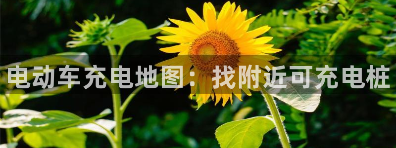 威廉希尔官网地址：电动车充电地图：找附近