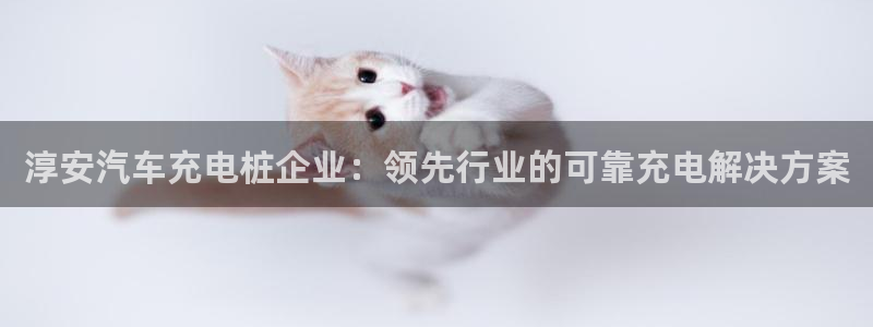 威廉希尔app怎么用：淳安汽车充电桩企业