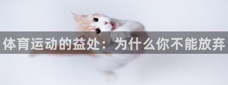 vsport体育